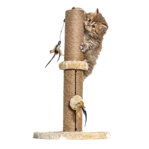 Toy Attachment